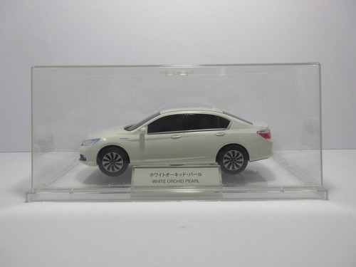 Honda campione colore - 1/24,